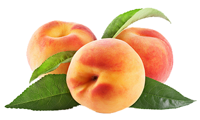 Gram's U-Pick Peach Farms