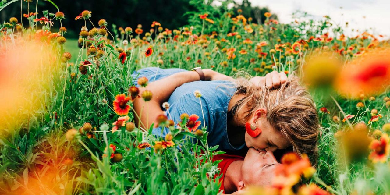 UPick Flowers Graham's UPick Farms